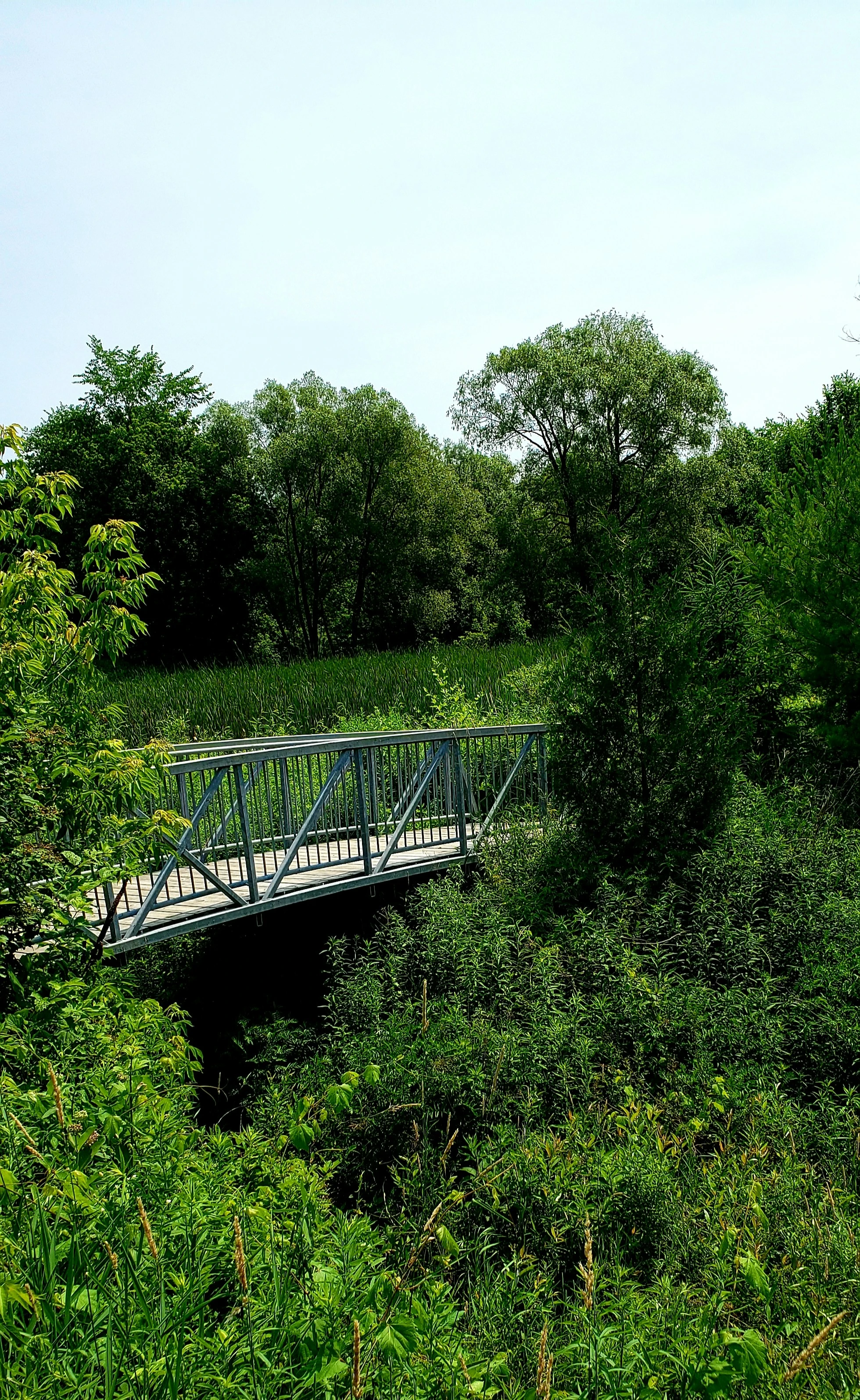 The Nokiidaa Trail in Holland Landing,East Gwillimbury, Ontario