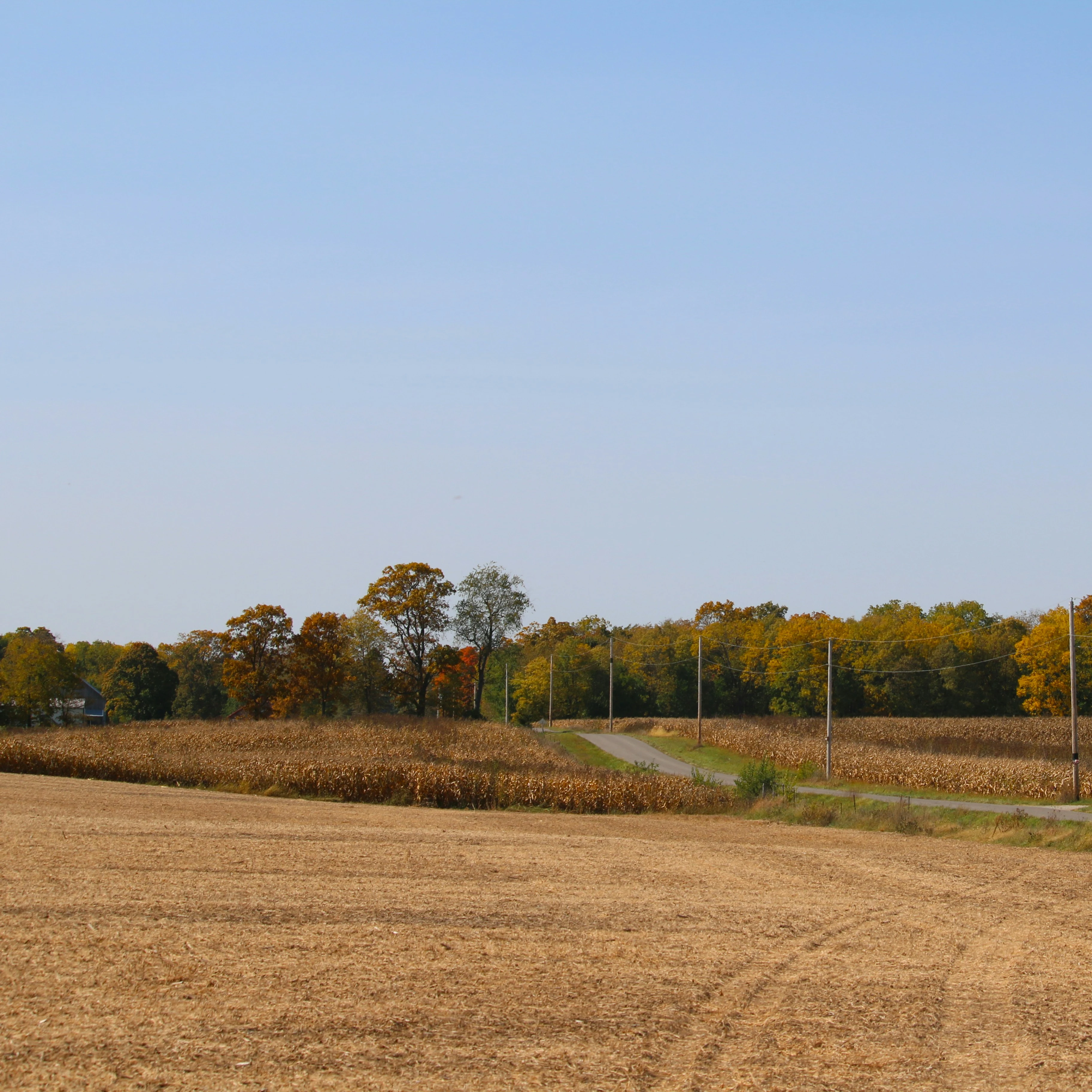 A photograph of the rolling hills and roads in King City, Ontario.